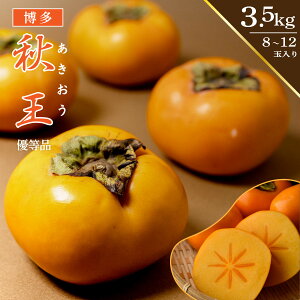 H D 8ʁ`12 3.5kg Y IWii ` Ê`  uh`   H Ȃ Ԍ i Ε v[g 蕨 햳` ʕ B t[