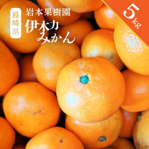 ݂ 5kg 茧Y {ʎ MTCY 40ʁ`50 ݂  c  | 呺p ɖؗ ɖ {  Â e   lC k Ԍ i Ε v