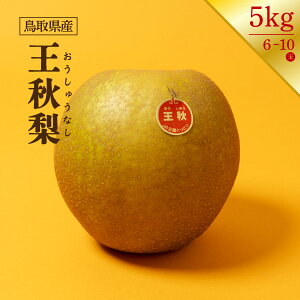 挧 H uh 6ʁ`10 5kg 傫  ƂƂ Ε j  Mtg ʕ 蕨 v[g  lC lC p { t[c  Ȃ iV 傫  