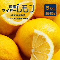 レモン 国産 マイヤーレモン ノーワックス 防腐剤 防カビ剤 不使用 佐賀県産 2L～M 30～50玉 5kg 箱 檸檬…