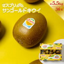 【セール中 14％OFF】サンゴールドキウイ キウイフルーツ ゼスプリ 4L 大玉 約36玉 約5.5kg サンゴールド ニュージー…
