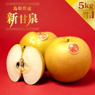 新甘泉 梨 鳥取県産 ブランド梨 10玉～14玉 5kg 高級果物 数量限定 旬の果物 希少 高糖度 しんかんせん …