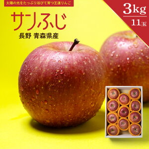 Tӂ (  X ) 11ʓ 3kg XY 쌧Y Ԃ  S ь t[c ʕ t[cMtg Ε v[g Mtg  蕨 ܍͔|  W[X Â