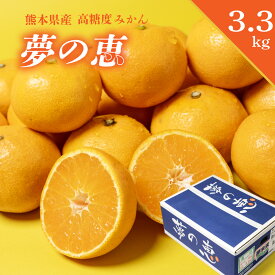 夢の恵みかん L/2Lサイズ 3.3kg 箱 みかん 熊本 九州 熊本みかん 早生みかん 糖度 夢未来 特選 河内 プレミアムみかん 果物 フルーツ こだわり おすすめ 人気 大人気 柑橘 限定 贈答品 お歳暮 プレゼント ミカン みかん箱 自宅用 家庭用 贈り物 おすすめ 送料無料