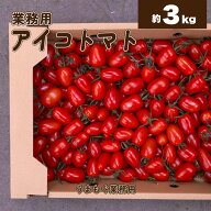 アイコトマト 3kg 熊本産【業務用】｜1kgあたり 1,657円｜ 送料無料 卸売 お得用 大容量 業務 ケース 1箱…