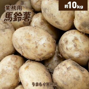 ���Ⴊ���� 10kg ����Y�y�Ɩ��p�z�b1kg������ 504�~�b�W���K�C�� �n�鏒 �o���C�V�� �������� ���� �����p ��e�� �Ɩ� �P�[�X 1�� �� ��� �N�x���Q �T���_ ���� ���H�X ���~ ����p �ƒ�p ��
