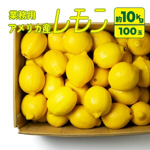 �y�Ɩ��p�z������ �A�����J�Y 100�� ��10kg �Ɩ��p �������� 140�T�C�Y ���I �Y�� �C�G���[������ ���� ���H�X ����p �܂Ƃߔ��� ���� ����� ��e�� �P�[�X 1�� �� ��� �N�x���Q �������` ����