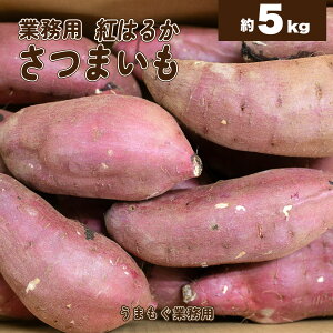 �y�Ɩ��p�z�啪�Y ���܂����i�g�͂邩�j 5kg L�b 1kg������ 846�~�b�� �T�c�}�C�� �ׂɂ͂邩 �x�j�n���J ���� �����p ��e�� �Ɩ� �������� �l�C ��l�C ���������y�k�C���E����z���s�z