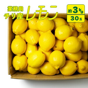 yƖpz`Y  30 3kgi  / 140ʃTCYjI Y  Ɩp p ܂Ƃߔ   e  炲 ` CG[ َq N _CG