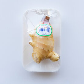 【単品商品】宮崎県産他　新しょうが　新生姜　1パック（100g）
