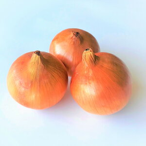 yPiizkCY@ʂ˂@ʔK@3ʑ