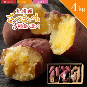 ܂Hה VNXC[g g͂邩 [ 4kg ܂ Zbg ̂ VN ׂɂ͂邩 Yn Ă  p ƒp Ɩp B  啪 F{ 