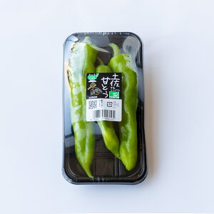 yPiizmY@ÂƂ炵@3{pbN