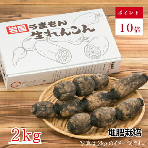 y|Cg10{z⍑񂱂 ͔͔| 2kg RY ⍑s Yi ʍ͔| p/Mtg ̂Ή
