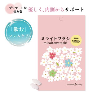 yŃPA ~Cg^V _UREX [bNX 2 96() zۂfP[g][ɓ͂Ē蒅 2ނ̓_GR-1 RC-14  tFPA