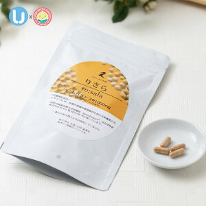 ނ̂Y݂ɂ  y哤|{CoXy肳 3 120 x 3 CoX 1000mgz Tvg z֒  iCAV h{@\Hi r^~B2 yv`