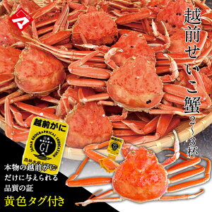 y2ZbgȏwőzⓀ̔EzOIiɁj2t 䂩䥂łĒI ZRKj  zO 킢ĨX ۗe퍞 [_216926_]yNEz