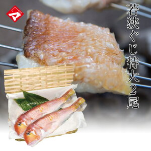 魚 若狭ぐじの人気商品 通販 価格比較 価格 Com