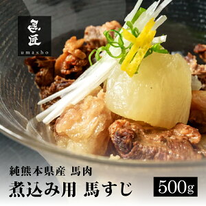 yYnzn 500g nύݗp F{ XyN100̓ヌAzY   Ⓚ O  n O p[eB ƈ  wV[ ᎉb BBQ o[