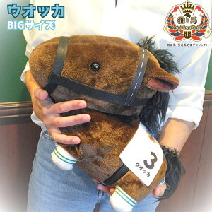 ynsite nRNVz EIbJ rbOTCY ʂ݁@n ObY LN^[   Tubh v[g Mtg G1 Vc {_[r[