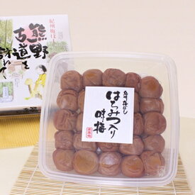 いなみの里梅園 紀州産 南高梅 梅干し ご家庭用 はちみつ味 450g 塩分8％#002