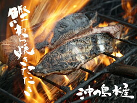送料無料！ 高知県 沖の島水産 かつお わら焼きたたき2節（計約600g）セット（冷凍便）