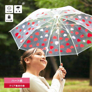 P qp 킢 n[g 50cm rj[P WvP OXt@Co[   iw abZ[WJ[h Kpg105-120cm |̎q LbY P P  v OXt