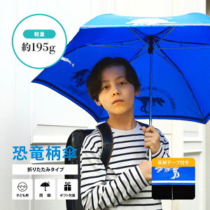 yz܂肽ݎP LbY S ˃e[v ~jP hZɓĂy 195g    50cm J j Mtg bZ[WJ[h ̎q j̎q y qpP 