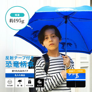 yP5{zyAt@xbgŐEɈ̎Pzyz܂肽ݎP LbY S ˃e[v ~jP hZɓĂy 195g    50cm J j