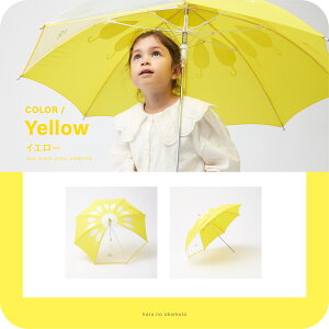 yzP qp  ԕ ͂₷S̍rj[2t 55cm WvP OXt@Co[  Kpg120-140cm JP P Au v[g LbY W