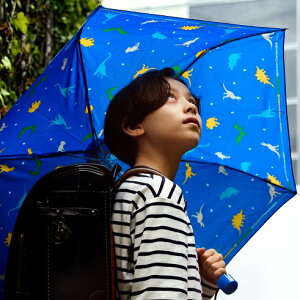 yz܂肽ݎP qp ~jP hZɓĂy 210g    56cm J v[g Mtg   j abZ[WJ[h j̎q ʊw 