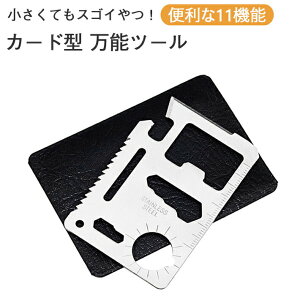 }`c[@\c[ 11@\@@hЃObY hЗpi h AEghA pi@ނ Lv ^@J[h^Cv