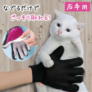 O[~OO[u ybgp Ep t[TCY   ubVO  L  ĵɁI