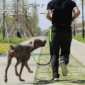 楽天市場 犬 リード 腰の通販