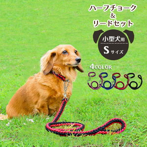 ^  n[t`[N i[htjyS4FzSTCY vȕ҂ݕRE`F[^Cv