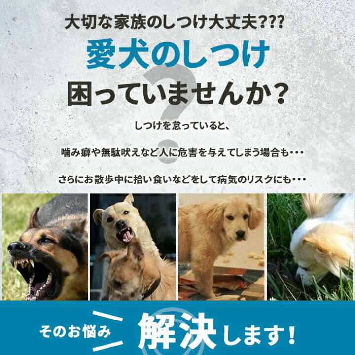 犬用 口輪 レザー4サイズ:S〜XL小型犬 中型犬 大型犬 ペット しつけ用品 通気性 吠え防止 : Umbrelland