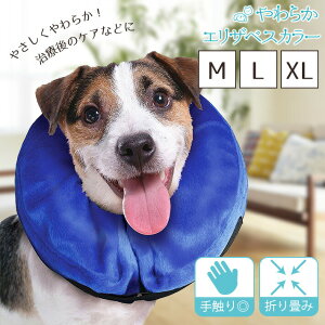  L 炩GUxXJ[ yXL^L^Mz \tg GA[NbV^Cv 藎h~t ^ ^