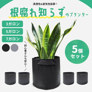 ƒ؉ v^[ sDz y5Zbg S2Fz ^ y 3K 5K 7K zAؔ ͔| K[fjO |pi