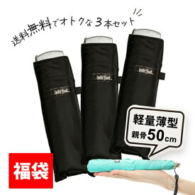 折りたたみ傘 軽量【3本セット】 送料無料 傘 超薄型 ウォーターフロント 新仕様 ポケフラット50 黒色 薄くて軽い折り畳み傘 メンズ レディース 男性 女性 学生 コンパクト 軽量傘 実用品 親骨50cm waterfront プチギフト 福袋 傘専門店