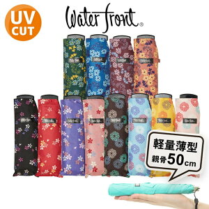  ܂肽ݎP y P ^ JpP fB[X 50Z` |Ptbg50 a EH[^[tg RpNg UVH Čy ܂ݎP  fB[X w P JP 