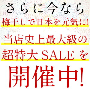 楽天市場 秋の超特大sale 美味しい梅干で日本を元気に 4年連続グルメ大賞 楽天ご飯のお供ランキング1位 送料無料 訳ありみかん蜂蜜梅750g 約25粒 45粒程 塩分約5 食品 梅干し 紀州南高梅 はちみつ梅 南高梅 わけあり バニリン 紀州のおいしい梅干し屋さん梅美膳