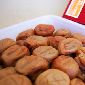 IB葢~@IB݂I@800gyIB썂~ Hi@~ ݂͂~ 썂~zyyMt_IzyyMt_̂zyyMt_̂z