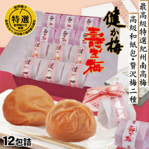  I IB 썂~ 12 lߍ킹 ~ 12E悬~ 5  ݂͂~ 2 a  Ε N O Mtg v[g j Hׂ Hה 
