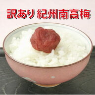 昔ながらの辛口梅1000g【500g×2個】塩分約22％訳あり 紀州南高梅
