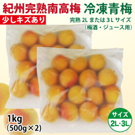 【送料無料】2025年産 和歌山 紀州みなべ産 冷凍青梅 紀州南高梅 選べる 2L・3Lサイズ 少し キズあり 洗浄済 ヘタ処理済 【冷凍生梅】 梅酒用・半熟青梅 500g×2個 和歌山 みなべ 南高 青梅 生梅 産地直送