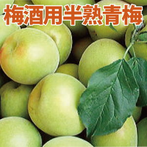 �~��p �E ���n�~ 2L 3kg �I�B �썂�~�y���~�z �a�̎R �݂Ȃ� �썂 �~ ���~ �Y�� �Y�n���� ������ ��������