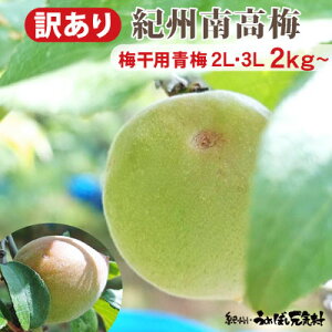 �y�󂠂�z�~���p ���n�~ 3L 2kg�������� �I�B�݂Ȃ׎Y ���~ �I�B �썂�~ �a�̎R �썂 �~ �Y�n����