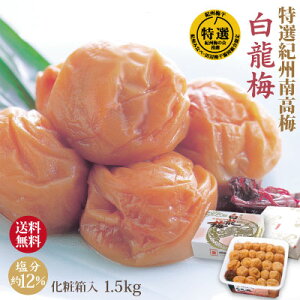  I IB썂~ ~ ~ 1.5kg ϔ 12 Ɣ_Y 嗱 썂~ a̎R ݂Ȃ׎Y ~  Ε Nn Mtg