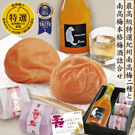 送料無料 ギフト 紀州 南高梅 梅酒 りゅう「ryu」と 最高級 特選 紀州 南高梅 2種 詰合 軽やか 味わい梅酒 300ml 特別大きな はちみつ梅 健か梅 1包・寿ぎ梅 2包 和紙包 和歌山 みなべ 自家梅園産 梅酒 梅干し 梅干 梅 うめ