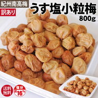 送料無料 訳あり 紀州南高梅うす塩小粒梅 800g詰 塩分約16％梅と塩のみで漬けた梅旧すっぱい梅小粒 熱中…